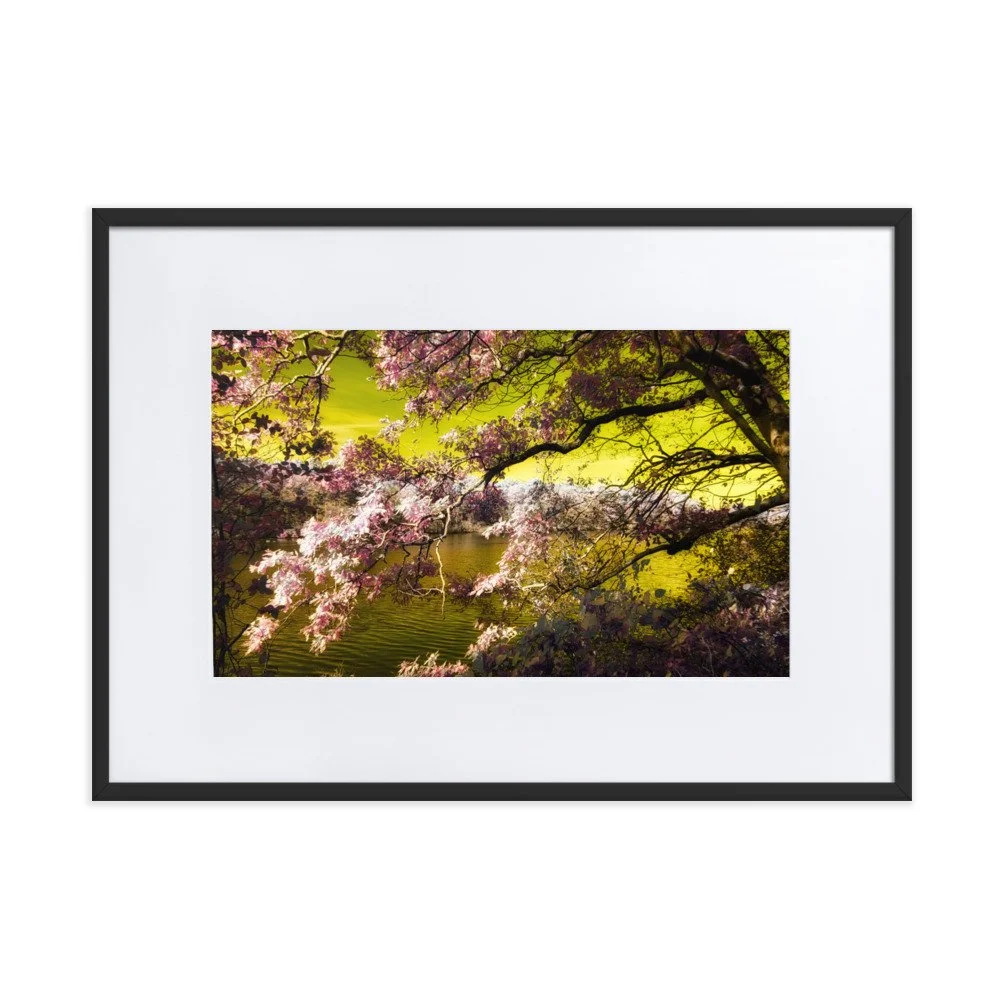 matte-paper-framed-poster-with-mat-(cm)-black-50x70-cm-transparent-643a194cebf7a.jpg