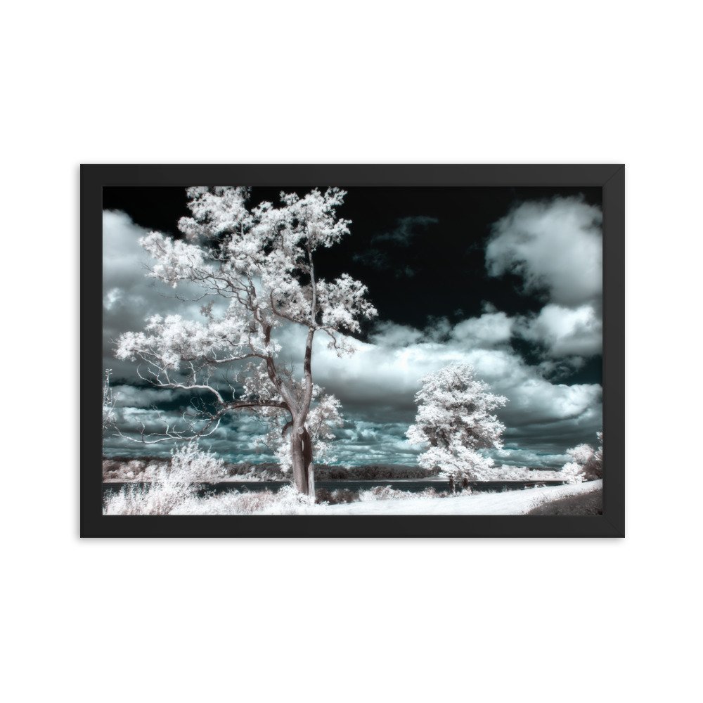 enhanced-matte-paper-framed-poster-(in)-black-12x18-transparent-643a1c34a8894.jpg