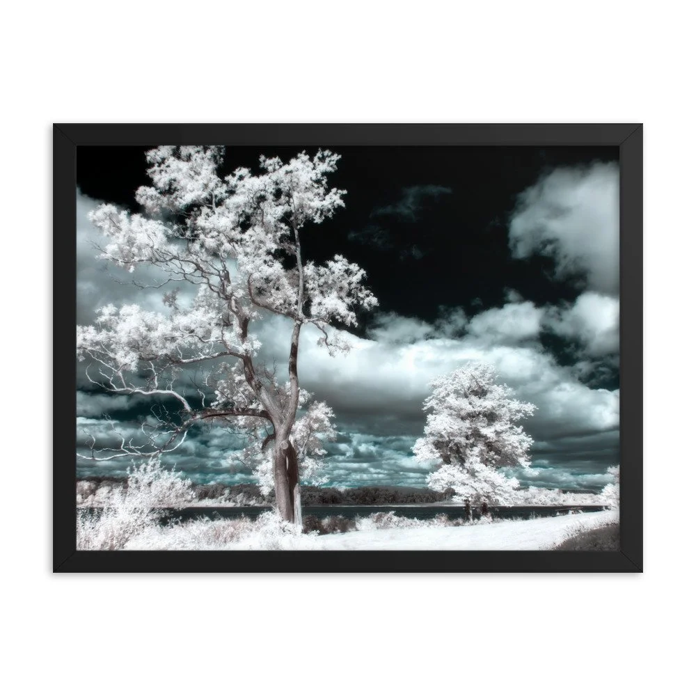 enhanced-matte-paper-framed-poster-(in)-black-18x24-transparent-643a1c34a8963.jpg