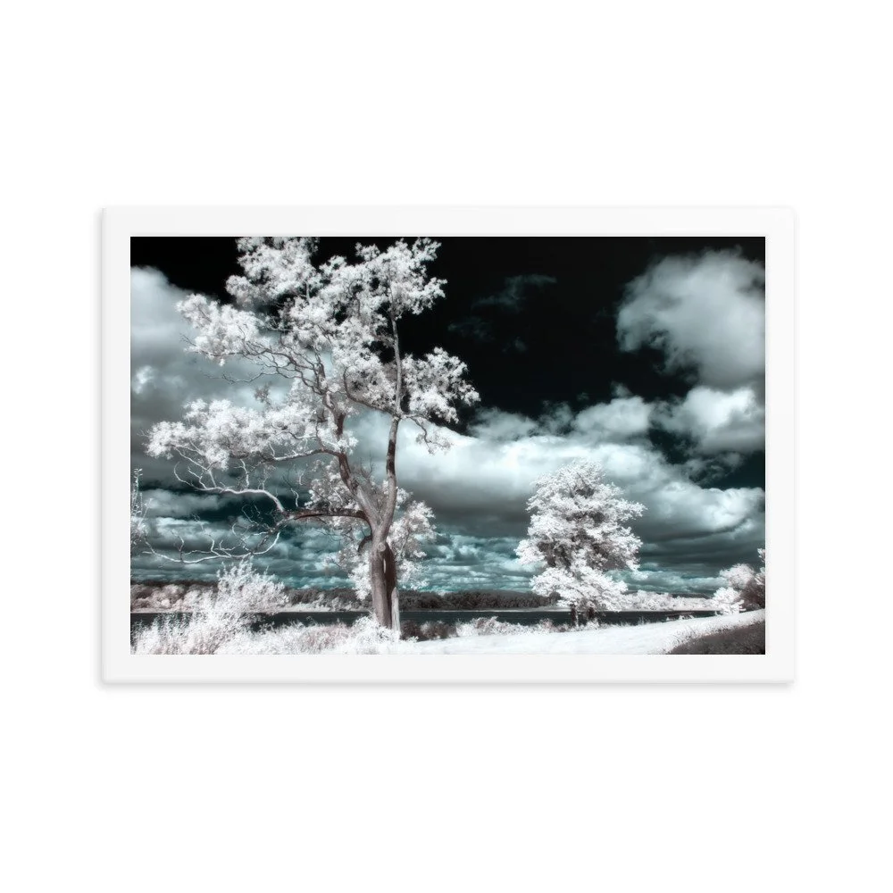 enhanced-matte-paper-framed-poster-(in)-white-12x18-transparent-643a1c34a89f2.jpg