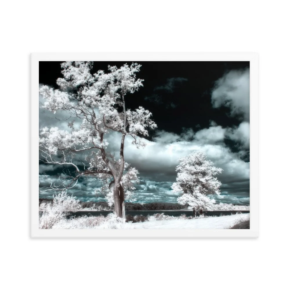 enhanced-matte-paper-framed-poster-(in)-white-16x20-transparent-643a1c34a8a48.jpg