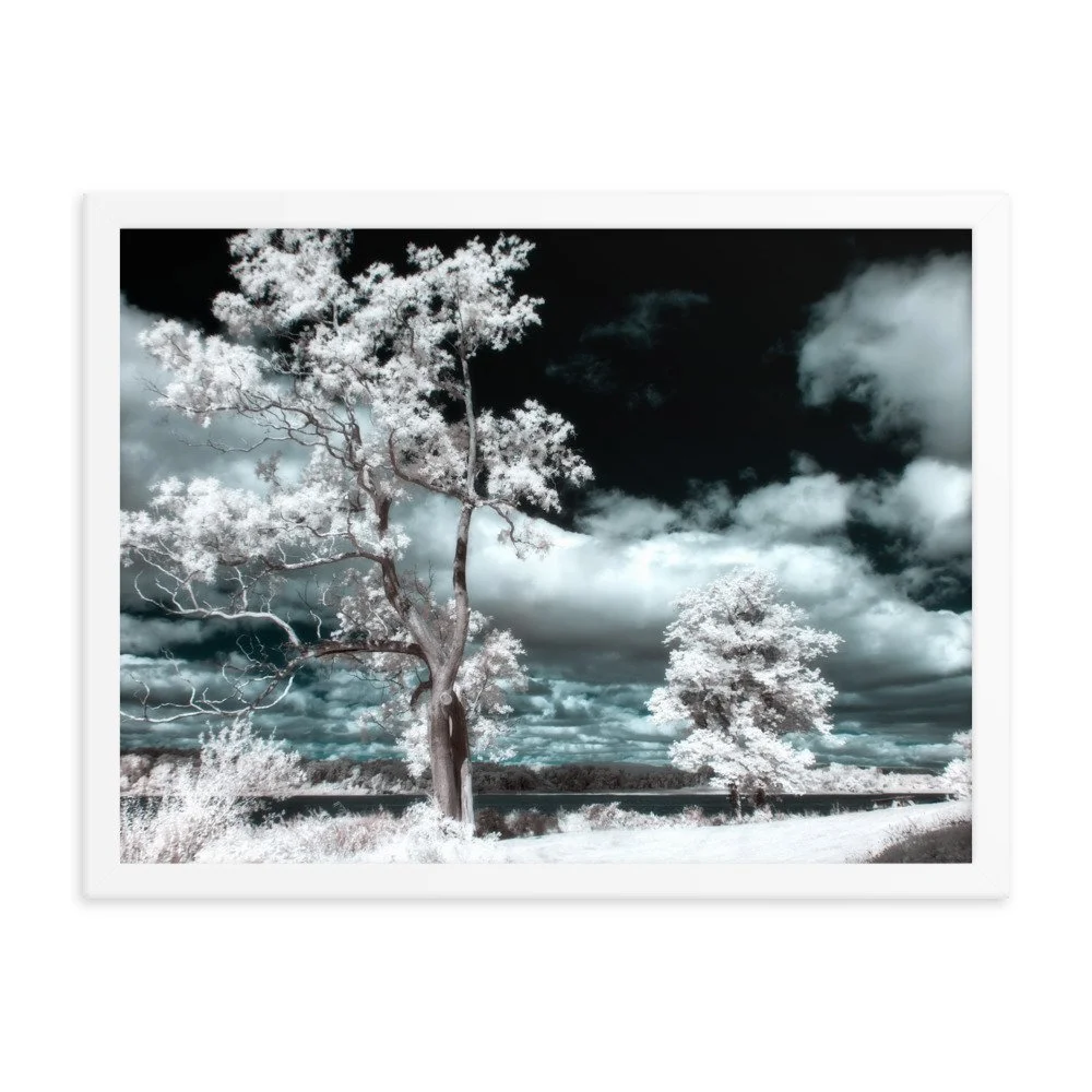 enhanced-matte-paper-framed-poster-(in)-white-18x24-transparent-643a1c34a8a9c.jpg