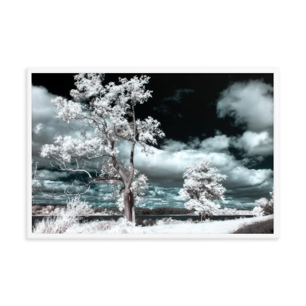 enhanced-matte-paper-framed-poster-(in)-white-24x36-transparent-643a1c34a8aee.jpg