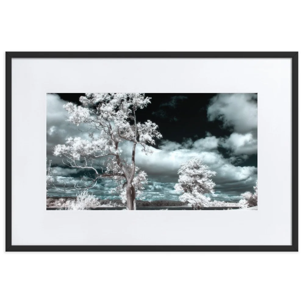 matte-paper-framed-poster-with-mat-(cm)-black-61x91-cm-transparent-643a1c768dafc.jpg