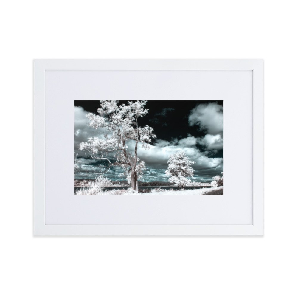 matte-paper-framed-poster-with-mat-(cm)-white-30x40-cm-transparent-643a1c768e944.jpg