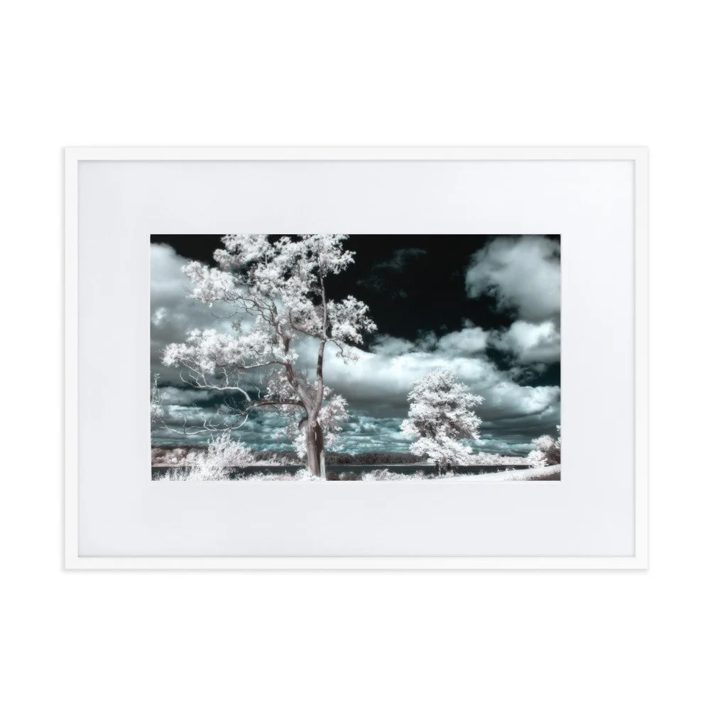matte-paper-framed-poster-with-mat-(cm)-white-50x70-cm-transparent-643a1c768e9b7.jpg