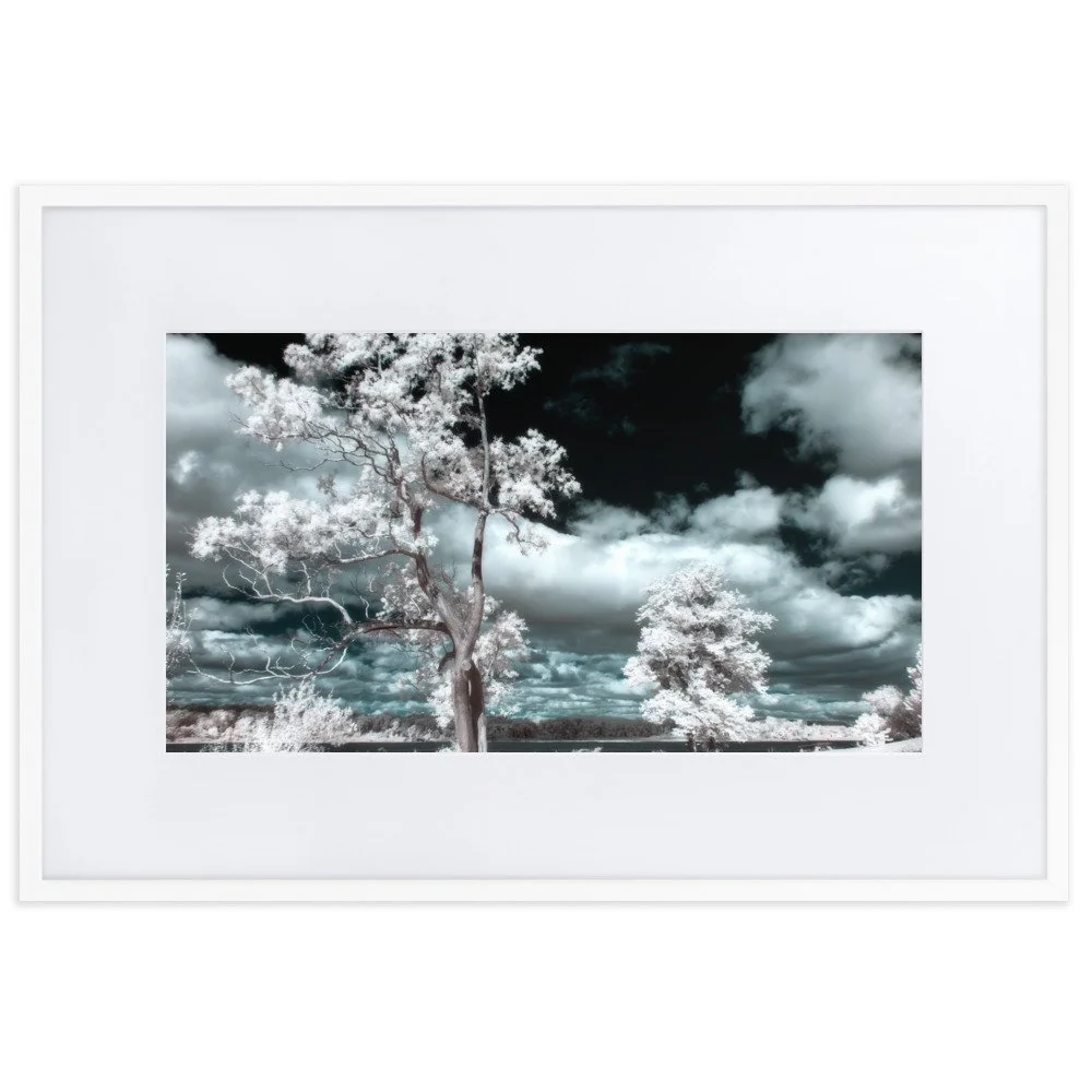 matte-paper-framed-poster-with-mat-(cm)-white-61x91-cm-transparent-643a1c768ea31.jpg