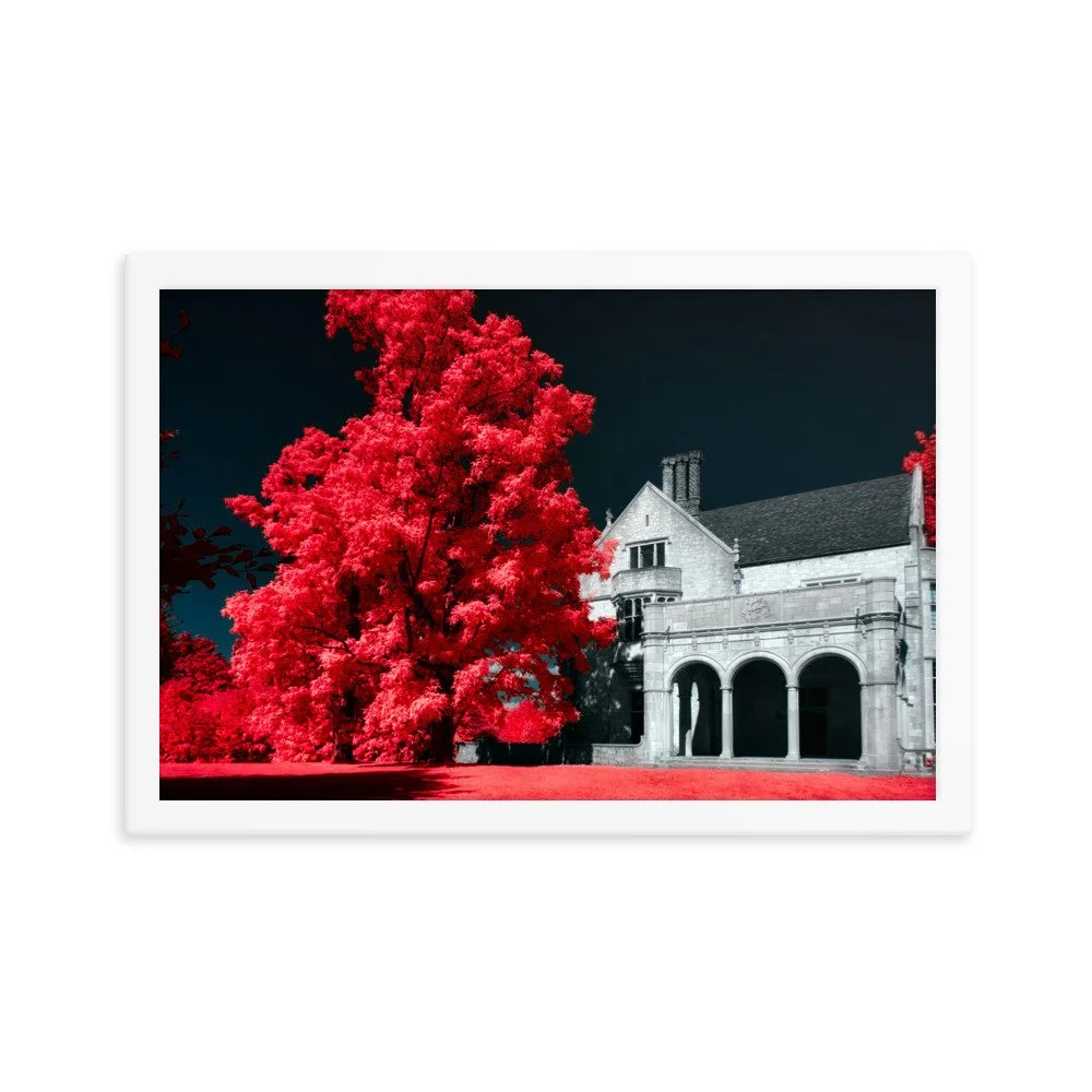 enhanced-matte-paper-framed-poster-(in)-white-12x18-transparent-643ae50ac7fde.jpg