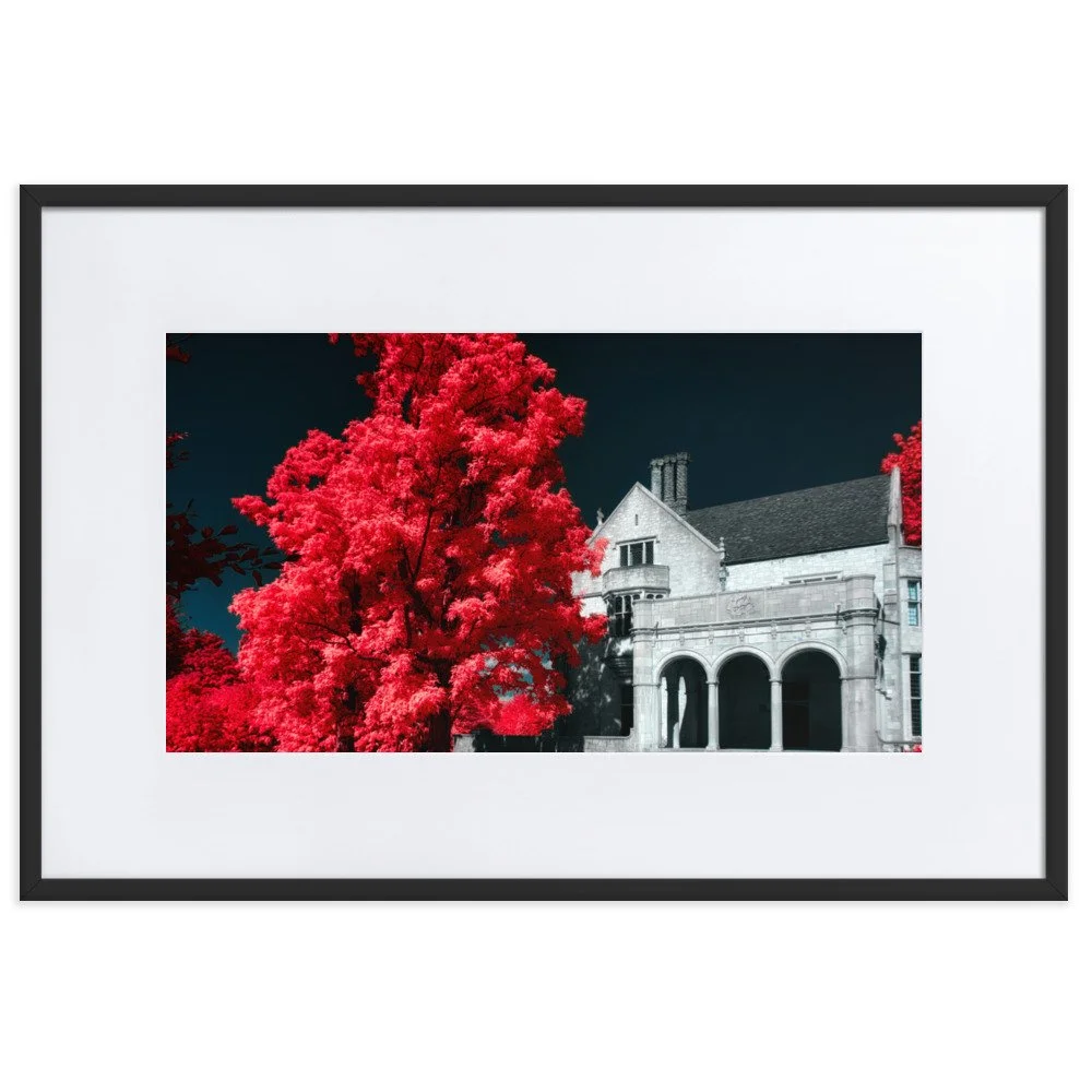 matte-paper-framed-poster-with-mat-(cm)-black-61x91-cm-transparent-643ae52d9566e.jpg