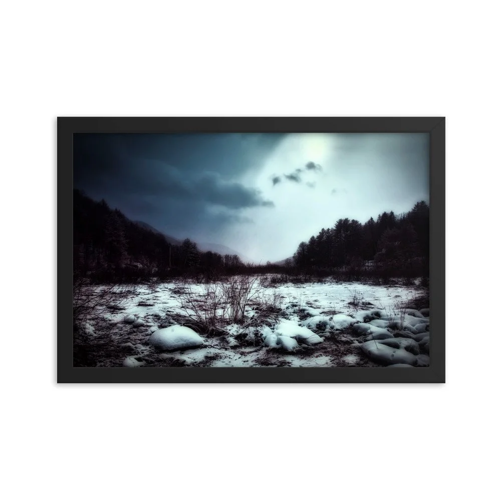 enhanced-matte-paper-framed-poster-(in)-black-12x18-transparent-643aea254cfc5.jpg
