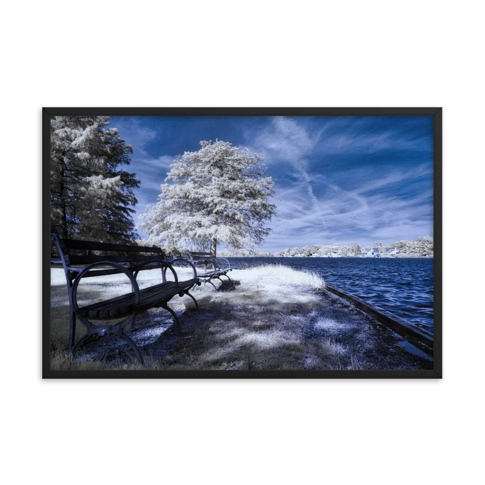 enhanced-matte-paper-framed-poster-(in)-black-24x36-transparent-643aed0591e7d.jpg