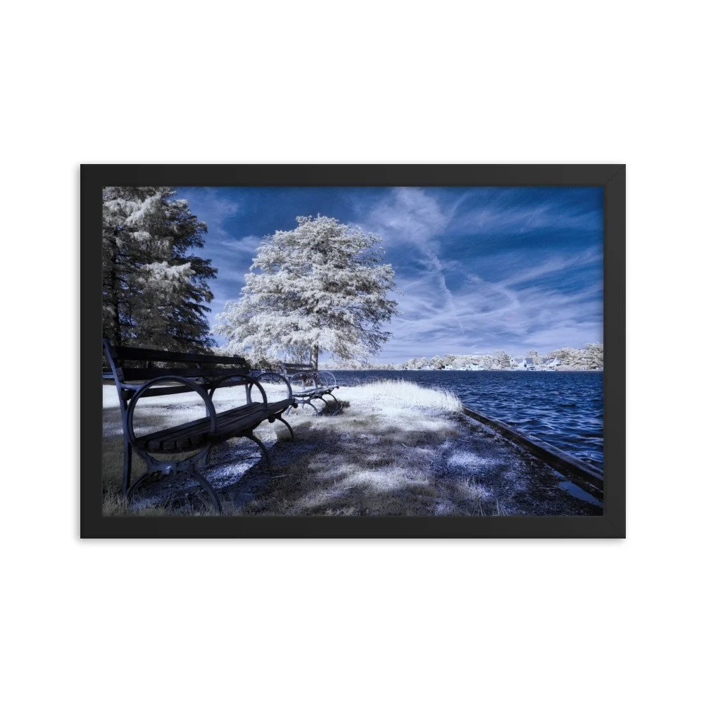 enhanced-matte-paper-framed-poster-(in)-black-12x18-transparent-643aed059494f.jpg