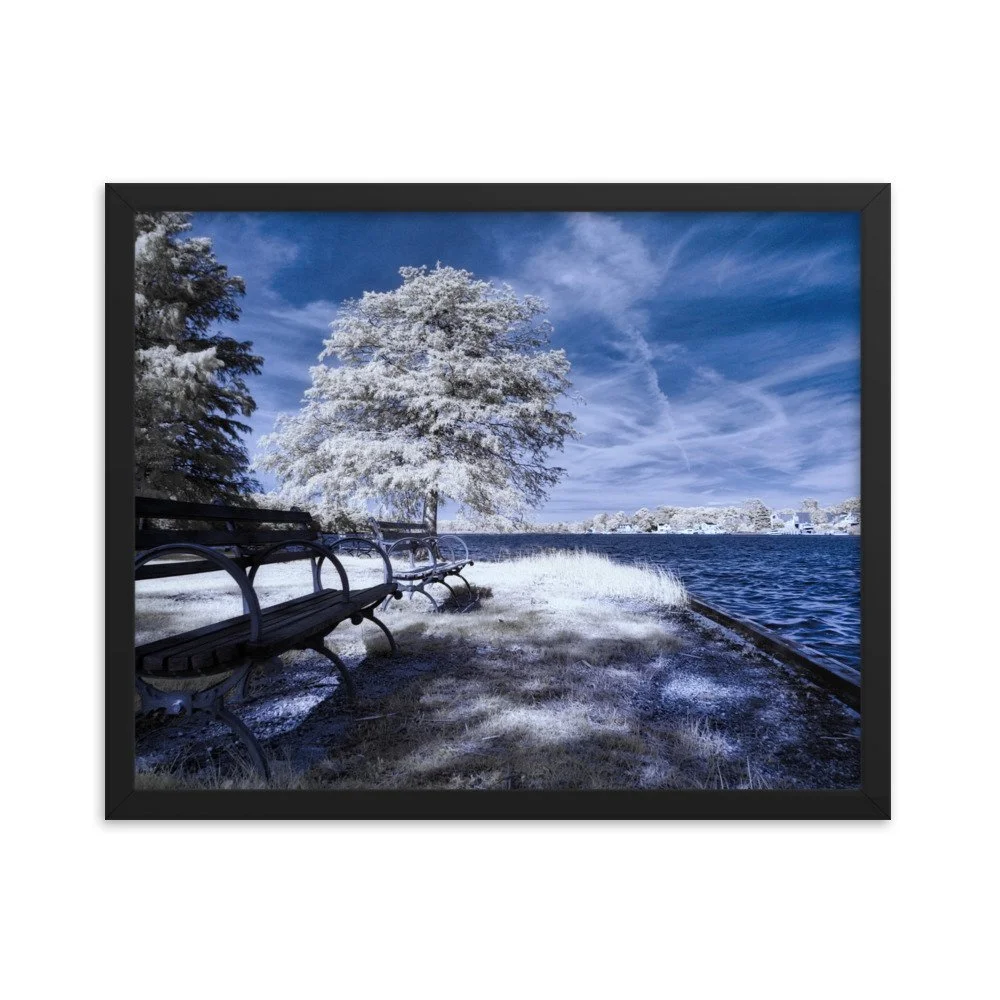 enhanced-matte-paper-framed-poster-(in)-black-16x20-transparent-643aed05949e2.jpg