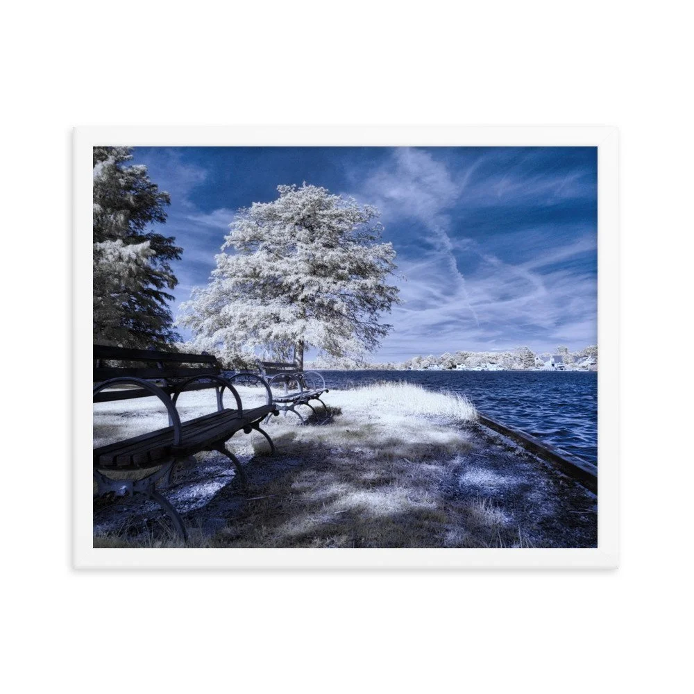 enhanced-matte-paper-framed-poster-(in)-white-16x20-transparent-643aed0594b10.jpg