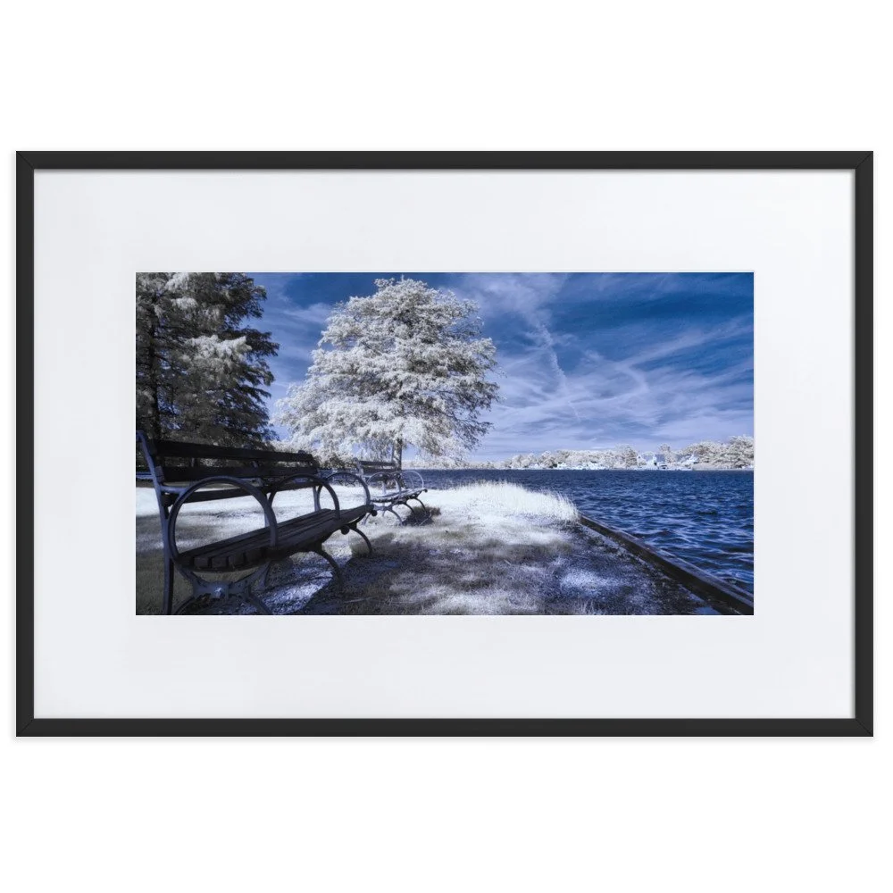 matte-paper-framed-poster-with-mat-(cm)-black-61x91-cm-transparent-643aed2878dbb.jpg