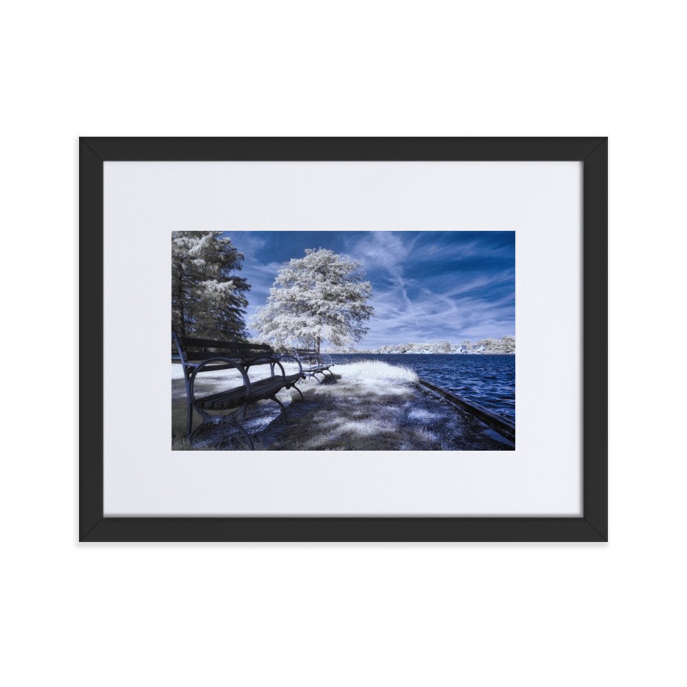 matte-paper-framed-poster-with-mat-(cm)-black-30x40-cm-transparent-643aed2879b16.jpg