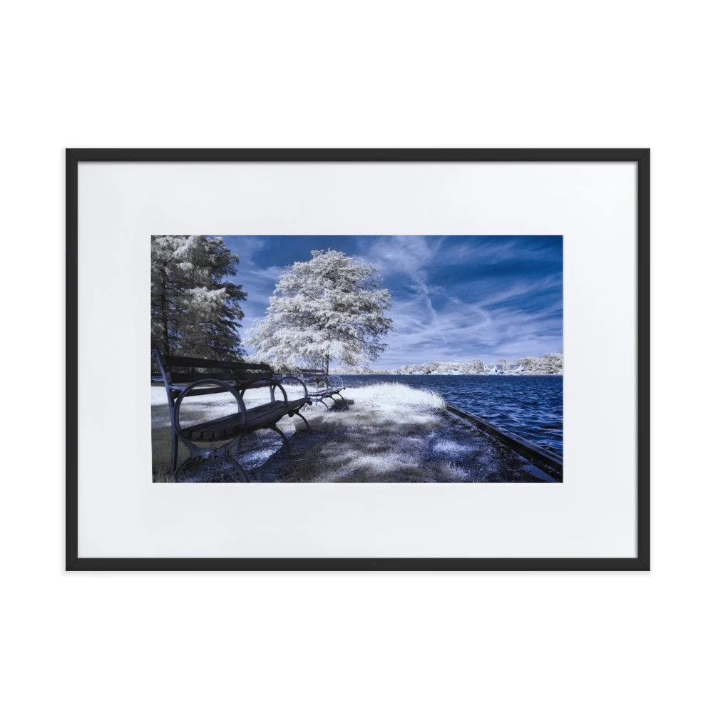 matte-paper-framed-poster-with-mat-(cm)-black-50x70-cm-transparent-643aed2879bae.jpg