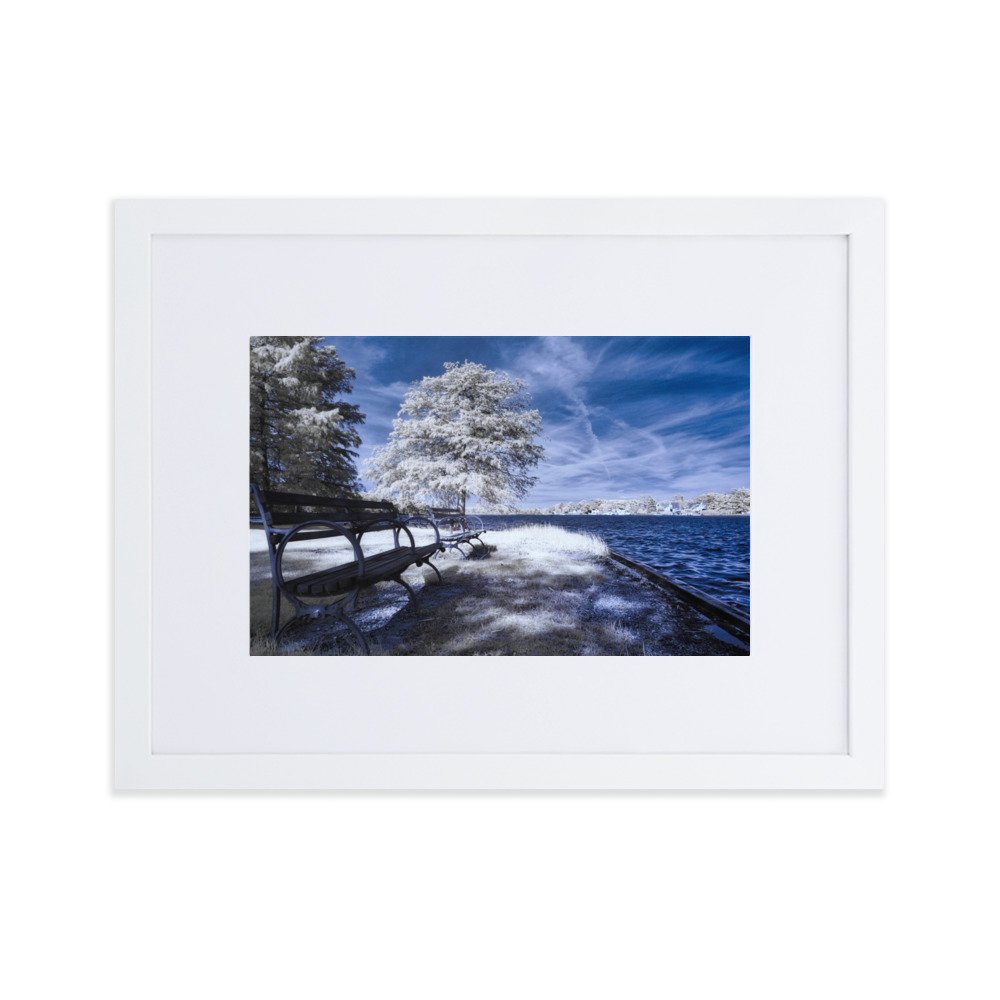 matte-paper-framed-poster-with-mat-(cm)-white-30x40-cm-transparent-643aed2879c50.jpg