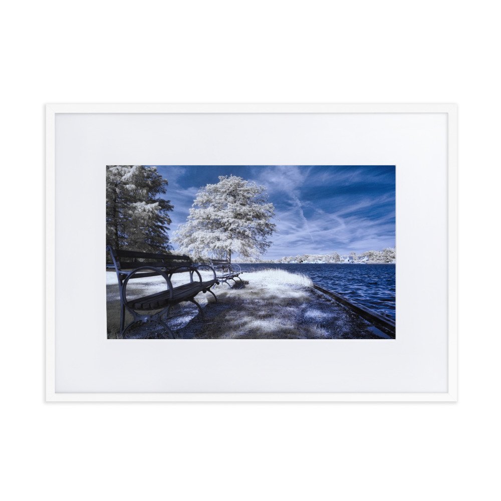 matte-paper-framed-poster-with-mat-(cm)-white-50x70-cm-transparent-643aed2879cc7.jpg