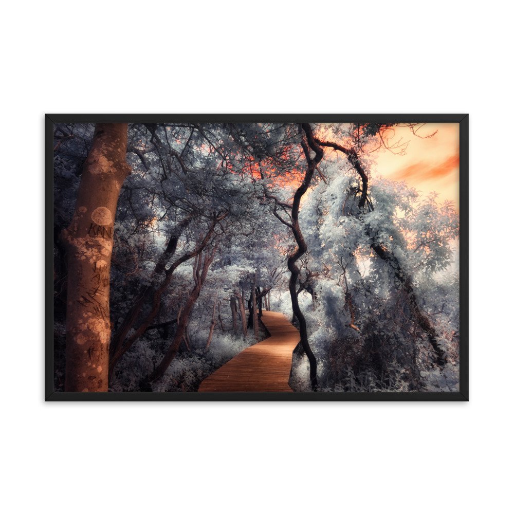 enhanced-matte-paper-framed-poster-(in)-black-24x36-transparent-643af0271cb39.jpg