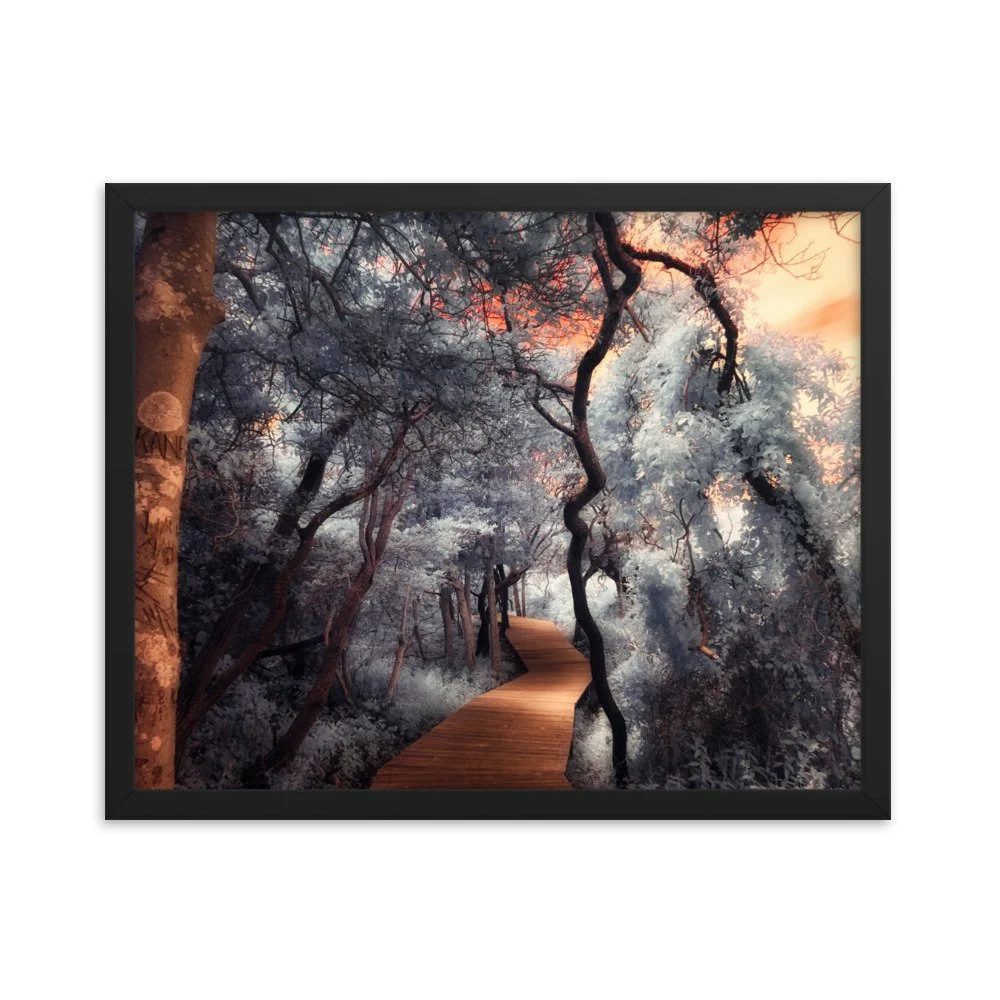 enhanced-matte-paper-framed-poster-(in)-black-16x20-transparent-643af0271d99d.jpg