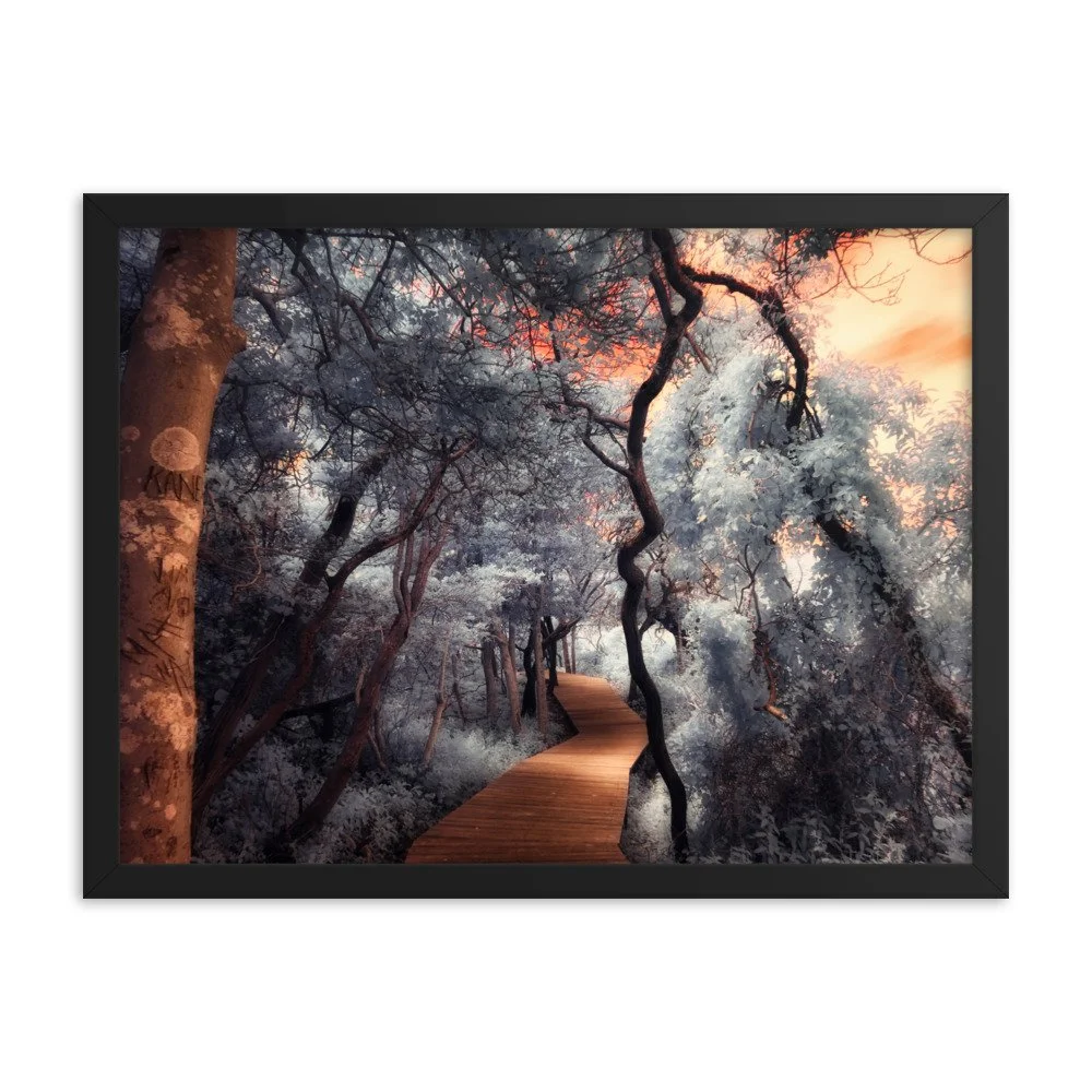 enhanced-matte-paper-framed-poster-(in)-black-18x24-transparent-643af0271da29.jpg