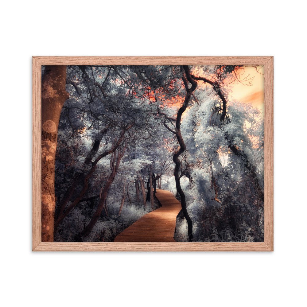 enhanced-matte-paper-framed-poster-(in)-red-oak-16x20-transparent-643af0271db98.jpg