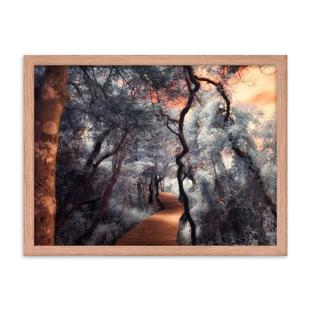 enhanced-matte-paper-framed-poster-(in)-red-oak-18x24-transparent-643af0271dc24.jpg