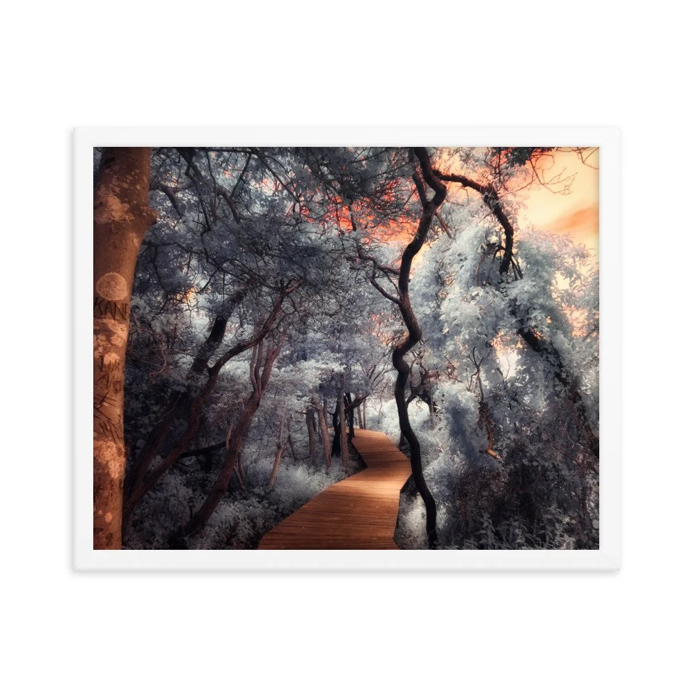 enhanced-matte-paper-framed-poster-(in)-white-16x20-transparent-643af0271ddd0.jpg