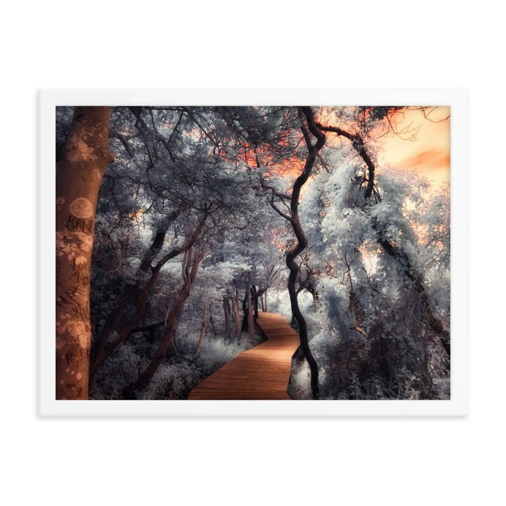 enhanced-matte-paper-framed-poster-(in)-white-18x24-transparent-643af0271de2f.jpg