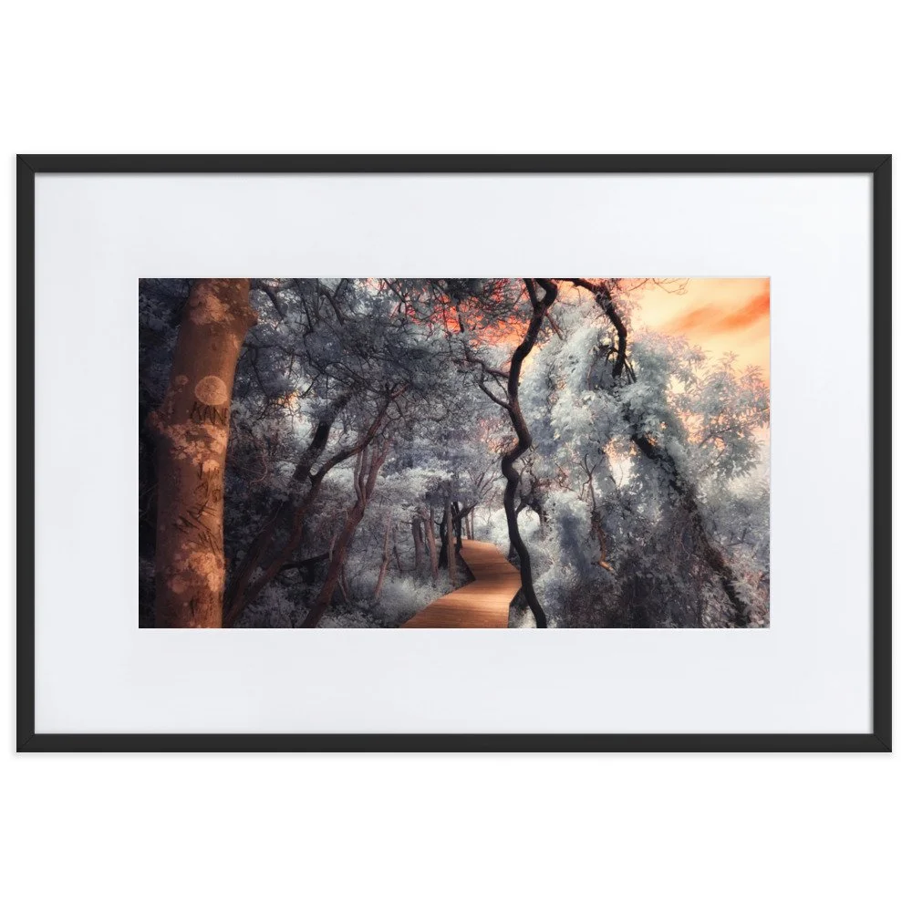 matte-paper-framed-poster-with-mat-(cm)-black-61x91-cm-transparent-643af067d6c51.jpg