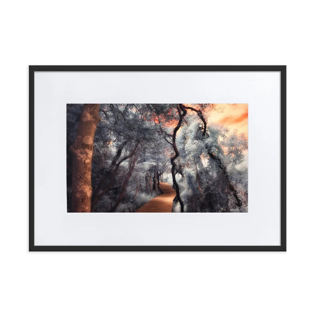 matte-paper-framed-poster-with-mat-(cm)-black-50x70-cm-transparent-643af067d7935.jpg