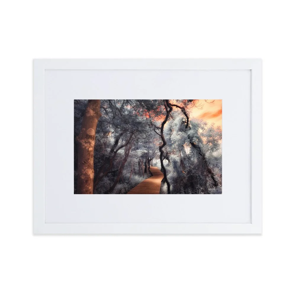 matte-paper-framed-poster-with-mat-(cm)-white-30x40-cm-transparent-643af067d79e6.jpg