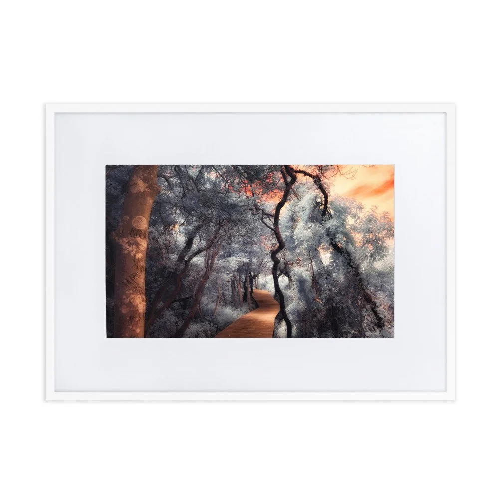 matte-paper-framed-poster-with-mat-(cm)-white-50x70-cm-transparent-643af067d7a59.jpg