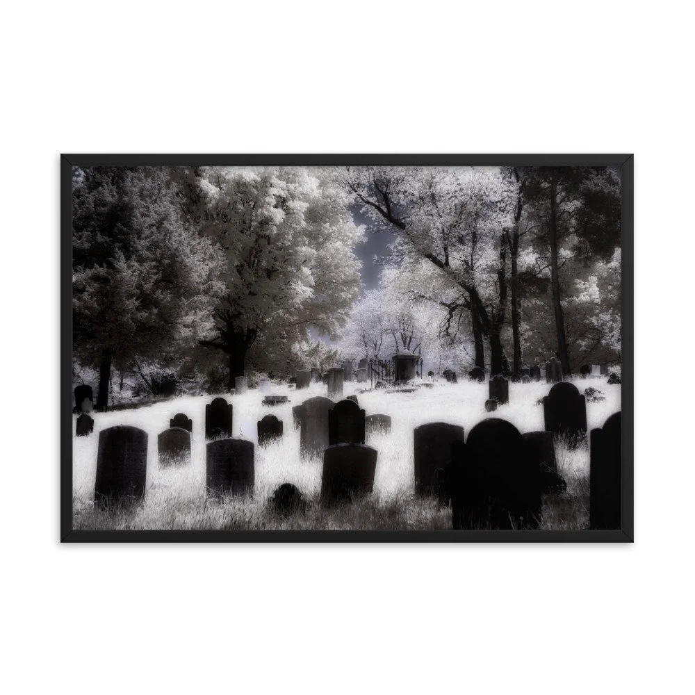 enhanced-matte-paper-framed-poster-(in)-black-24x36-transparent-643af2dd878e7.jpg