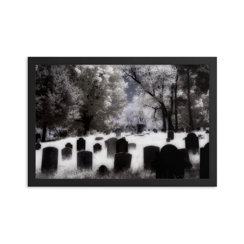 enhanced-matte-paper-framed-poster-(in)-black-12x18-transparent-643af2dd89b19.jpg