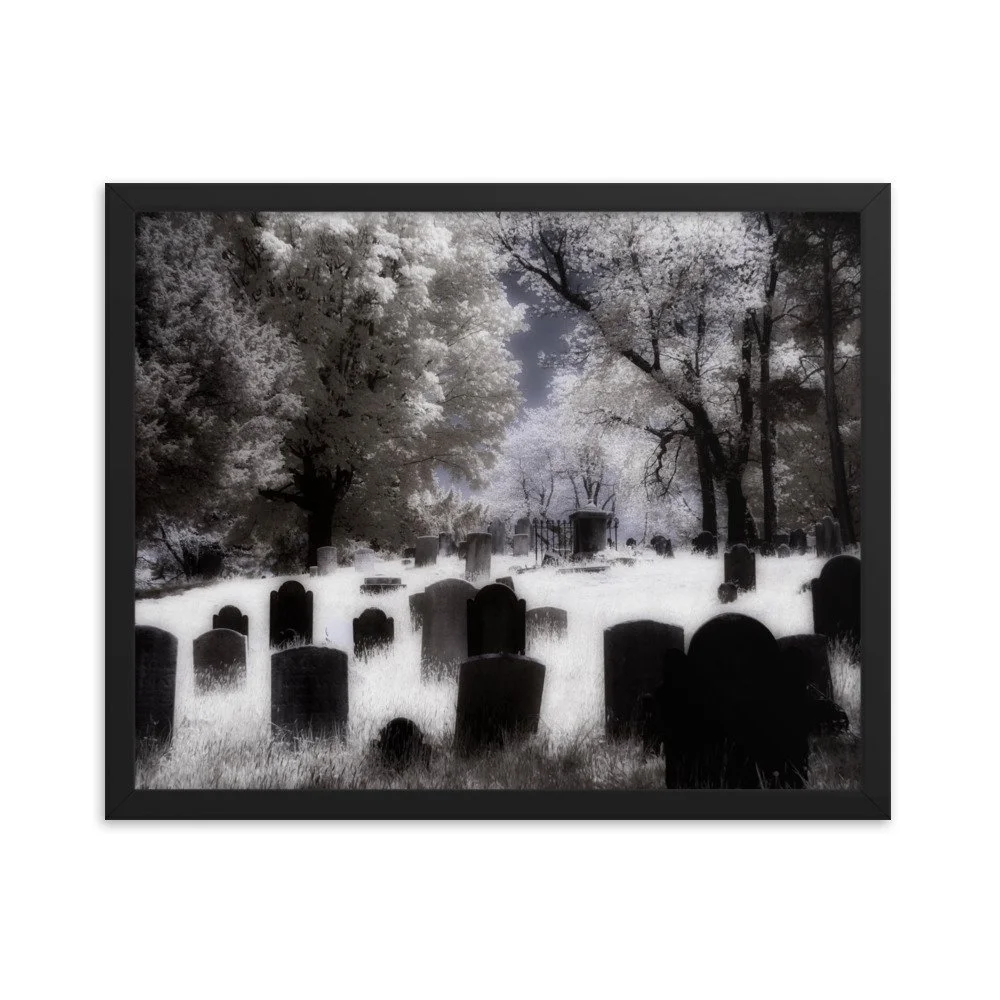 enhanced-matte-paper-framed-poster-(in)-black-16x20-transparent-643af2dd89bd6.jpg