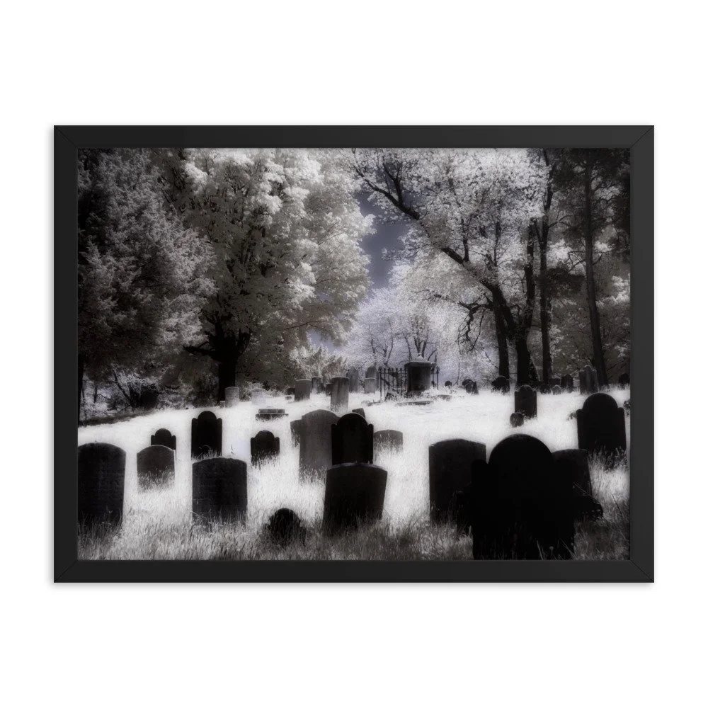 enhanced-matte-paper-framed-poster-(in)-black-18x24-transparent-643af2dd89c6b.jpg