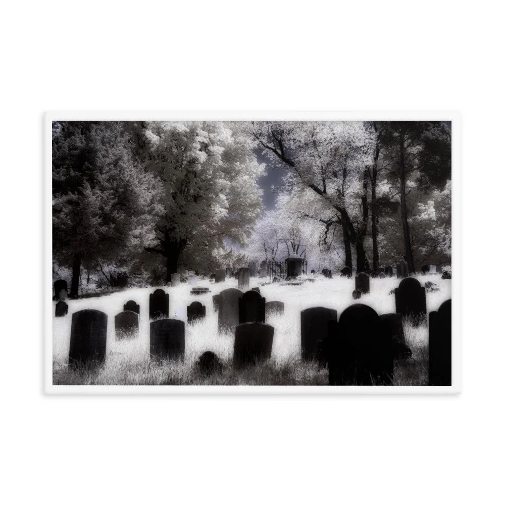 enhanced-matte-paper-framed-poster-(in)-white-24x36-transparent-643af2dd89ee8.jpg