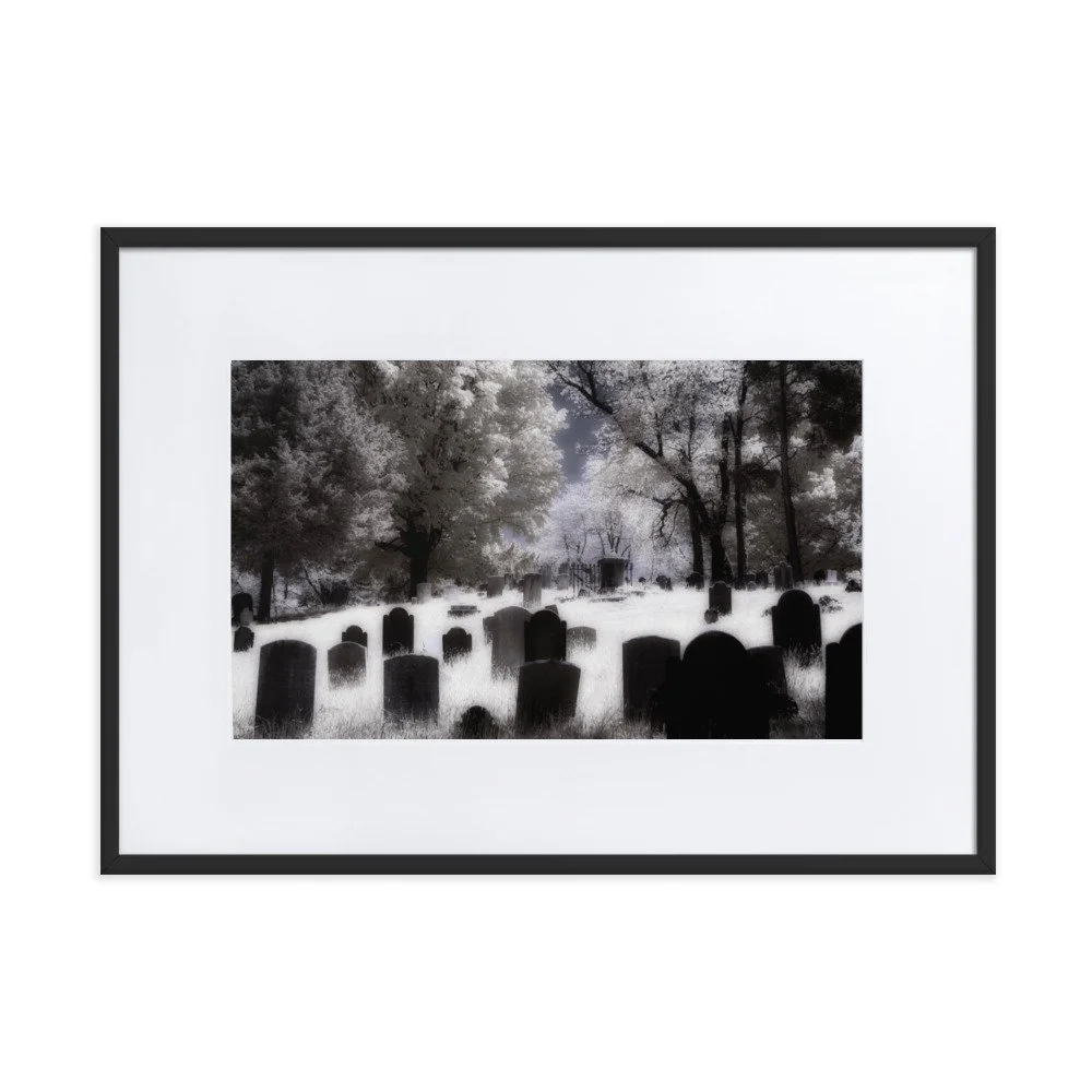 matte-paper-framed-poster-with-mat-(cm)-black-50x70-cm-transparent-643af3b687300.jpg