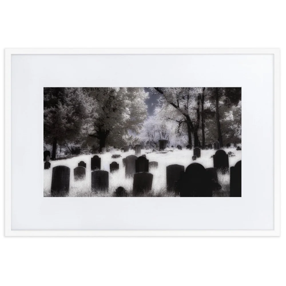 matte-paper-framed-poster-with-mat-(cm)-white-61x91-cm-transparent-643af3b6874c2.jpg