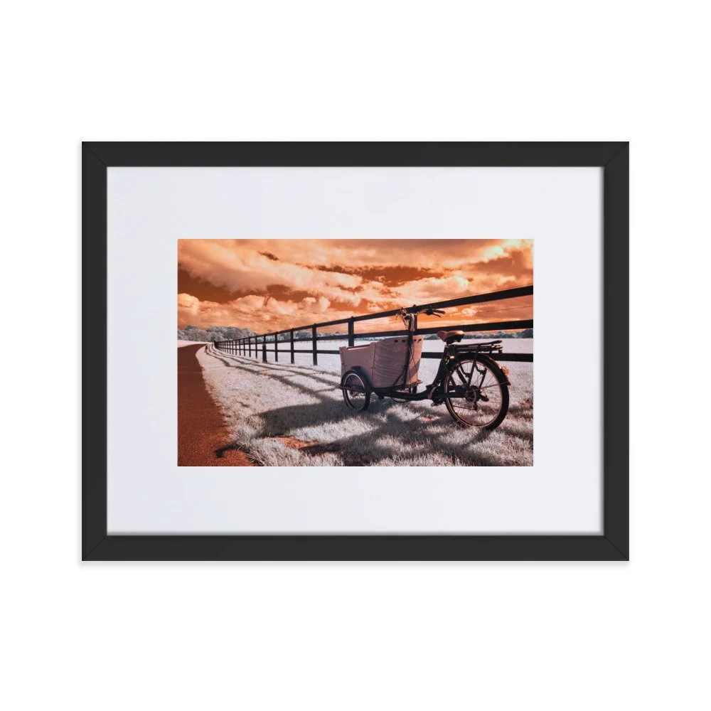 matte-paper-framed-poster-with-mat-(cm)-black-30x40-cm-transparent-643af78462e7c.jpg