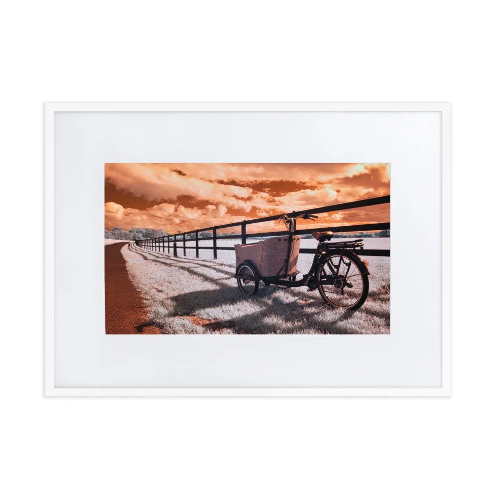 matte-paper-framed-poster-with-mat-(cm)-white-50x70-cm-transparent-643af78462fb0.jpg