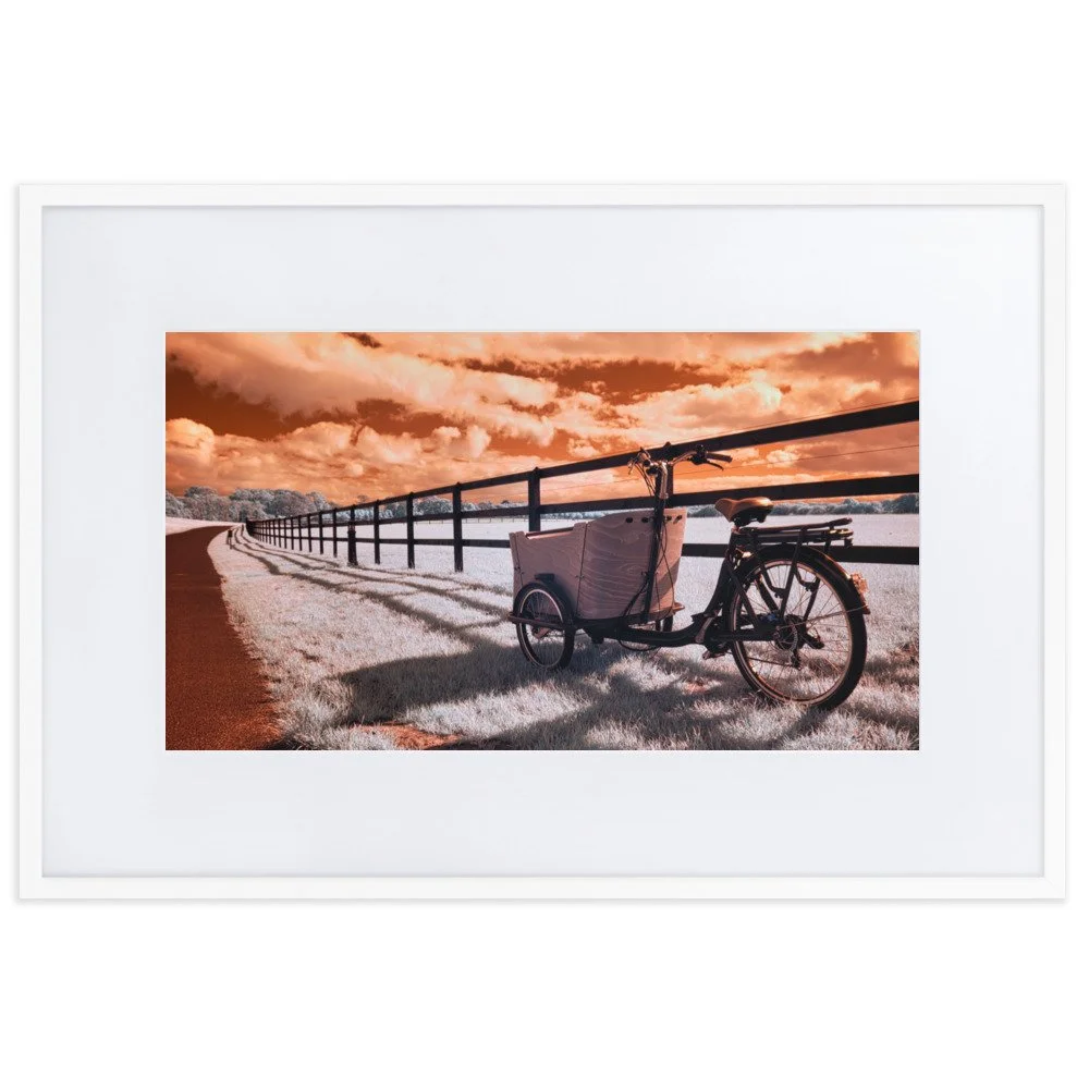 matte-paper-framed-poster-with-mat-(cm)-white-61x91-cm-transparent-643af78462ff9.jpg