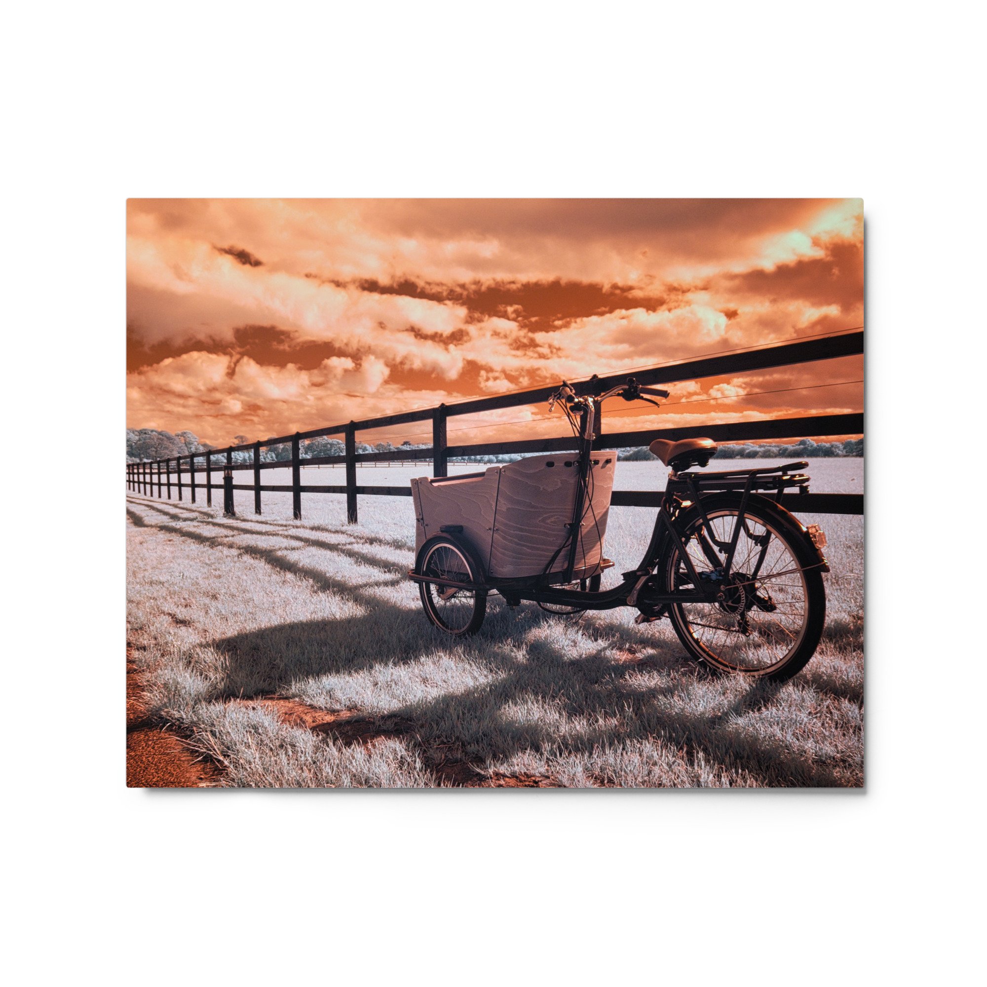 glossy-metal-print-(in)-white-16x20-front-643af88d0c732.jpg