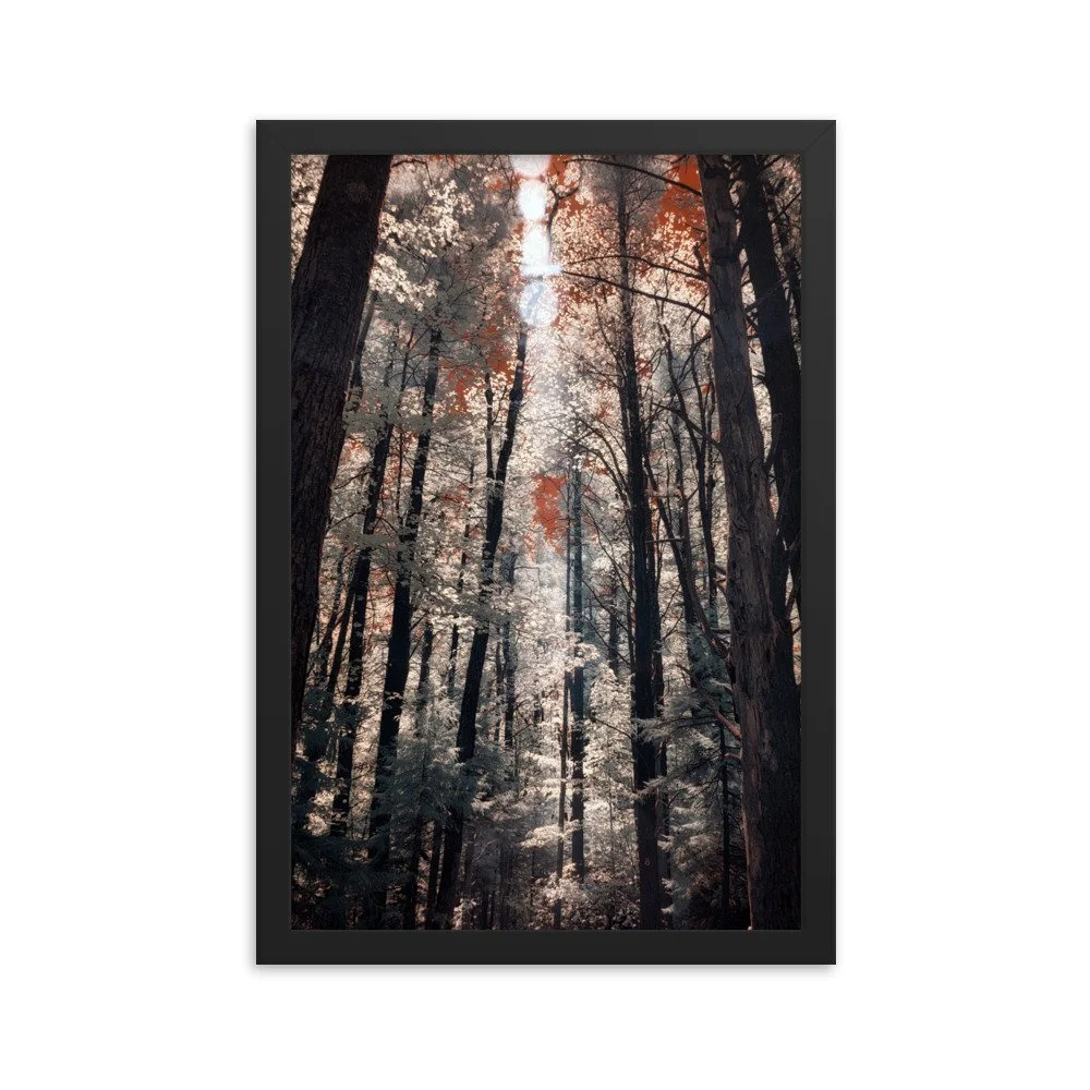 enhanced-matte-paper-framed-poster-(in)-black-12x18-transparent-643b0c9f680ce.jpg