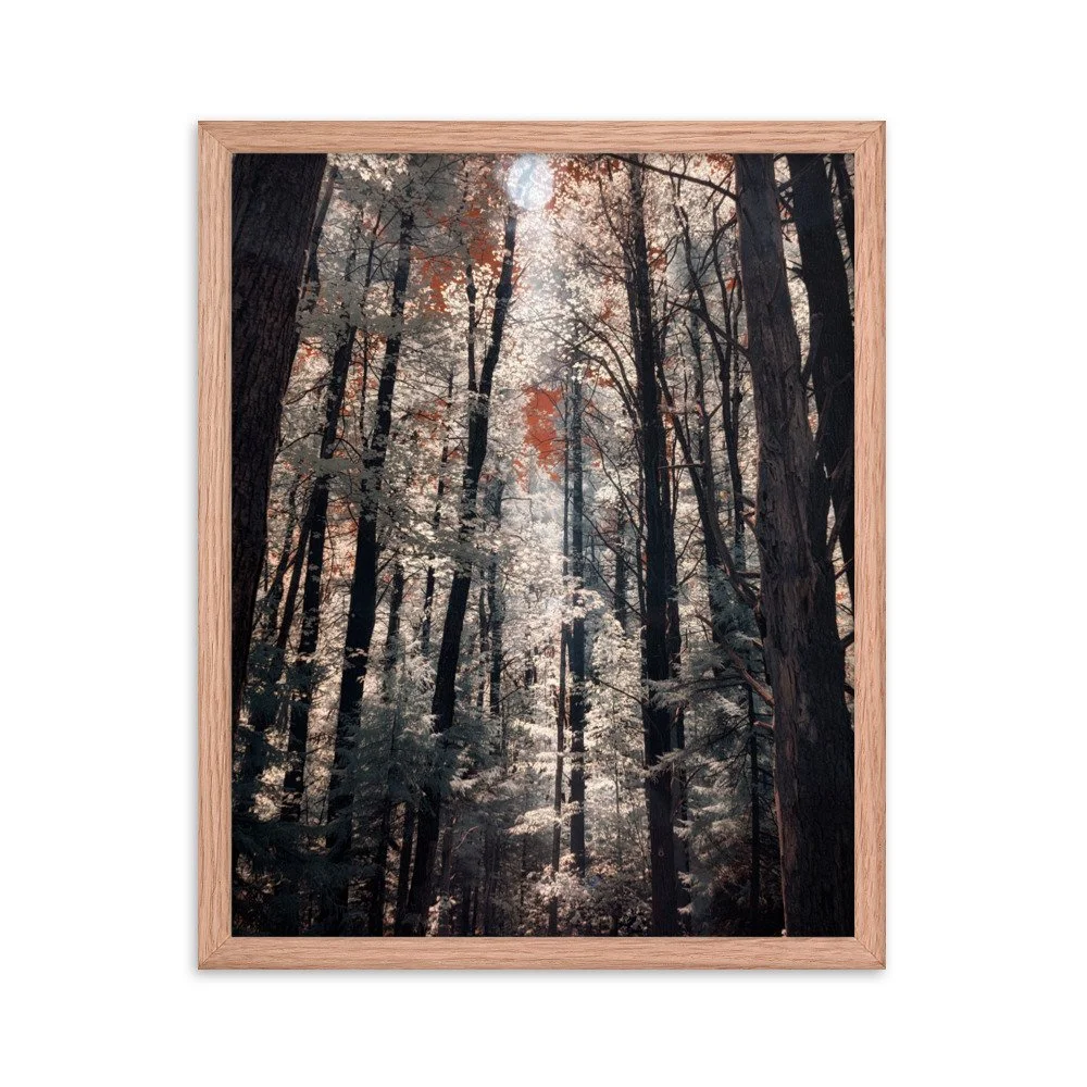 enhanced-matte-paper-framed-poster-(in)-red-oak-16x20-transparent-643b0c9f6828b.jpg