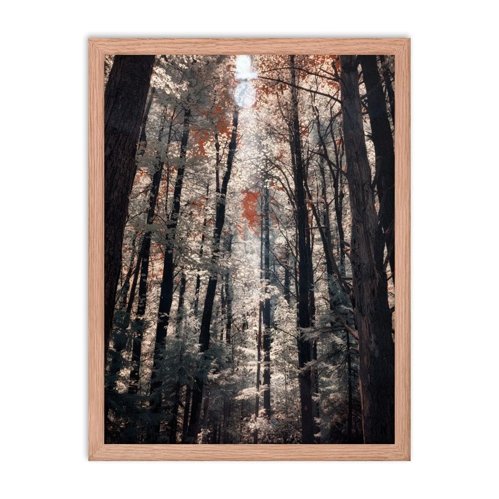 enhanced-matte-paper-framed-poster-(in)-red-oak-18x24-transparent-643b0c9f682e4.jpg