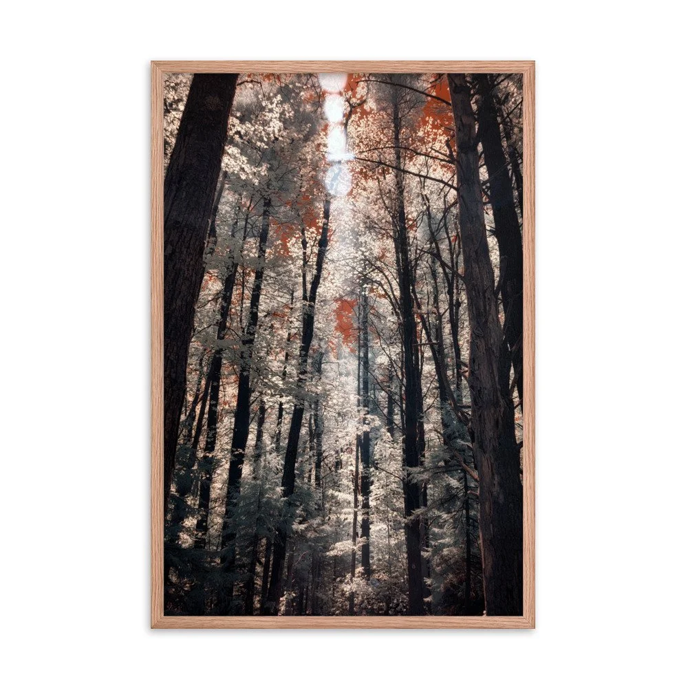 enhanced-matte-paper-framed-poster-(in)-red-oak-24x36-transparent-643b0c9f68338.jpg