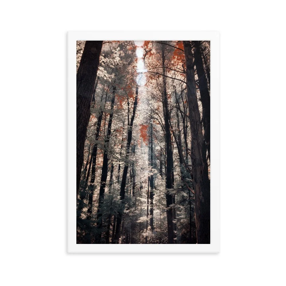 enhanced-matte-paper-framed-poster-(in)-white-12x18-transparent-643b0c9f6838d.jpg